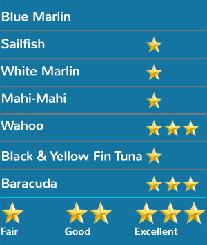 Bahamas Fishing Calendar - Chubasco Charters